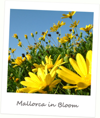 Mallorca Seasons