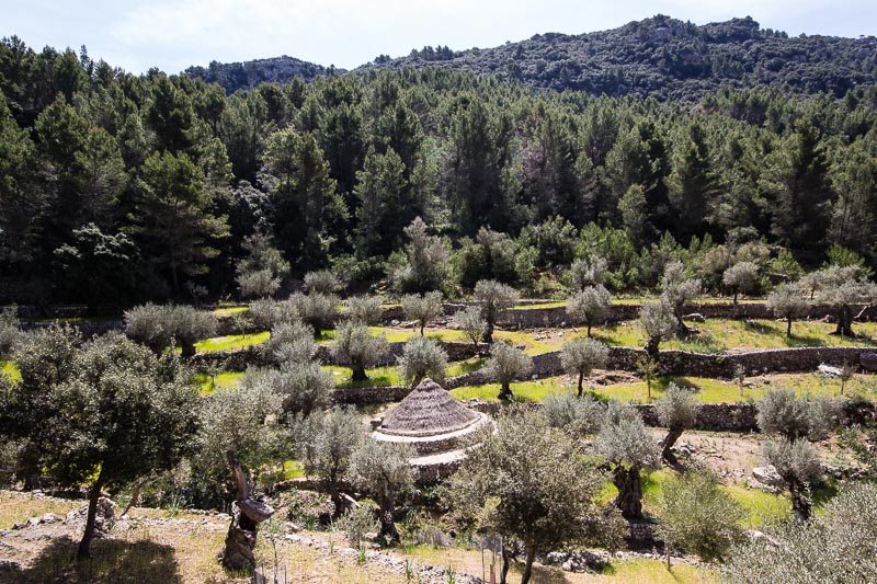 Archduke Walk, Valldemossa, Majorca